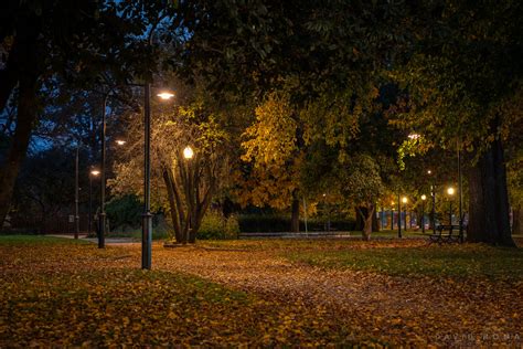 David Roma Photography Autumn Nights