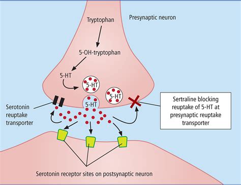 Sertraline Benaran 2022 Practical Diabetes Wiley Online Library