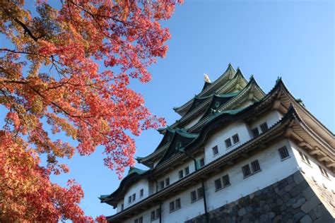 【名古屋観光】秋のおすすめスポット4選！紅葉と食欲の秋を満喫｜金シャチ横丁 Kinshachi Yokocho