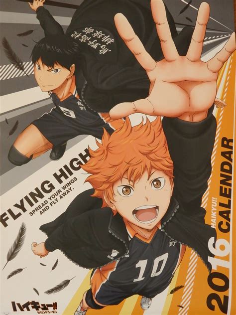 Haikyuu Official Art Beach