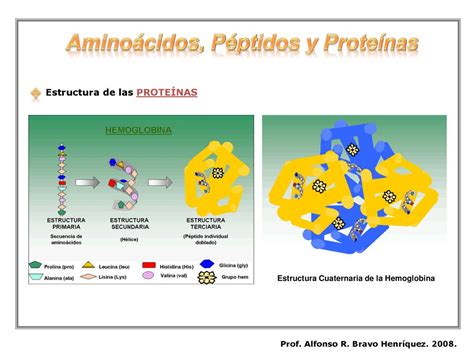 Aminoácidos Péptidos y Proteínas Prof Alfonso R Bravo Henríquez