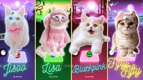 CUTE CATS JISOO FLOWER Vs LISA MONEY BLACKPINK Vs BLACKPINK BOOMBAYAH