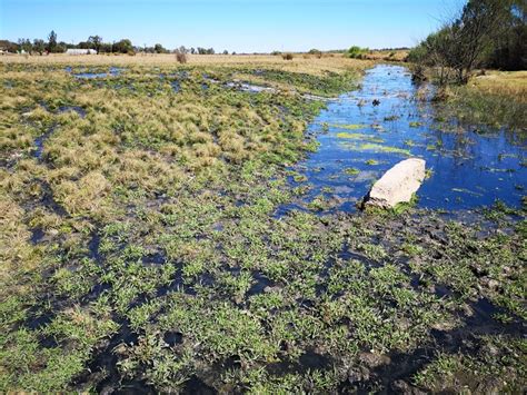 Valke Vlieg In Oor Vuil Vaalrivier Netwerk24