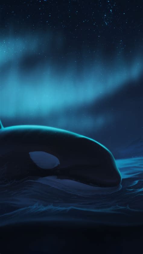 Whale Phone Wallpaper 1080p 2k 4k Full Hd Wallpapers Backgrounds Free Download Wallpaper