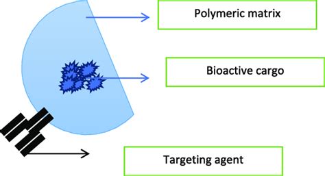 Core Shell Nano Capsules For Drug Delivery Download Scientific Diagram