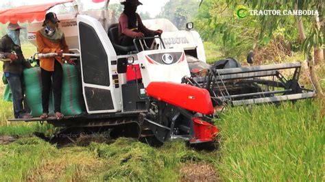 Nice Action Harvester Operator Techniques Skills Harvest Rice Cutting