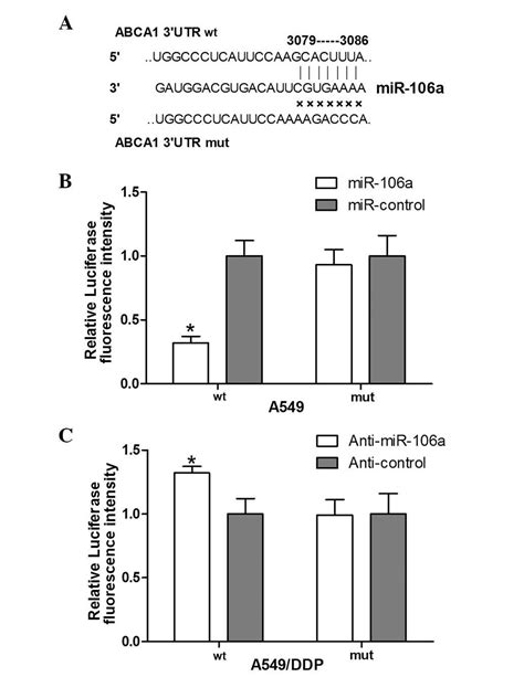 Microrna‑106a Confers Cisplatin Resistance In Non‑small Cell Lung