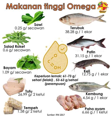 Penting Untuk Ibu And Bayi Ini 10 Sumber Makanan Tinggi Omega 3 Yang