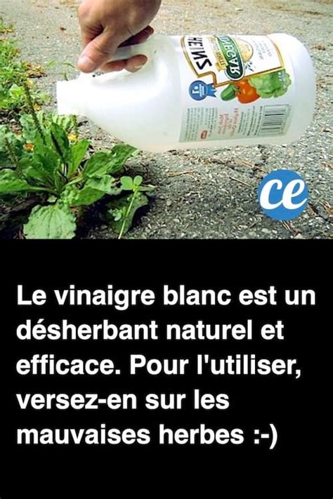 Le Vinaigre Blanc Un D Sherbant Naturel Et Efficace