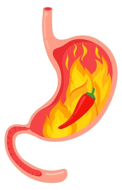 Premium Vector Hot Food Stomach Problem Gastric Pain Icon