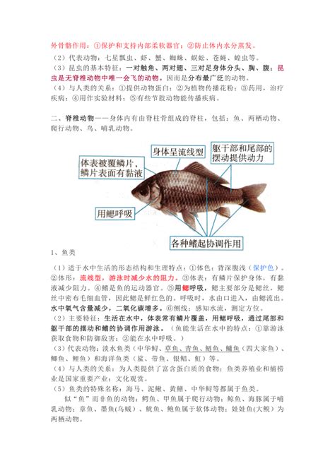 2022 2023学年人教版生物八年级上册知识点总结 21世纪教育网