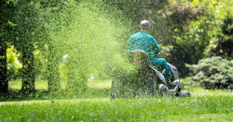 3 Best Tips: Lawn Mower Maintenance | Fernandez And Sons