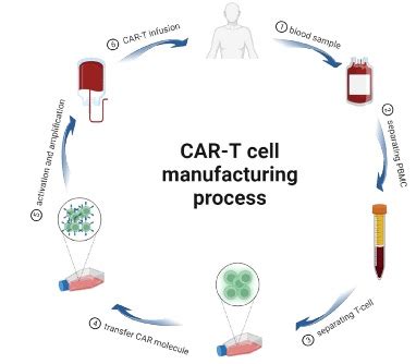 CAR-T Cell Therapy in Oncology Applications | NeoGenomics Laboratories