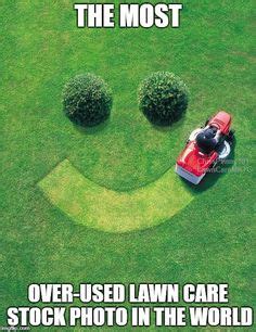 Lawn care memes on Pinterest