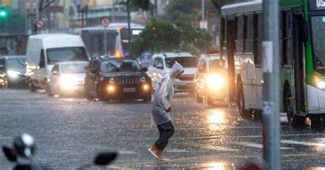 Chuva Em Sp Provoca Alagamentos E Queda De árvores