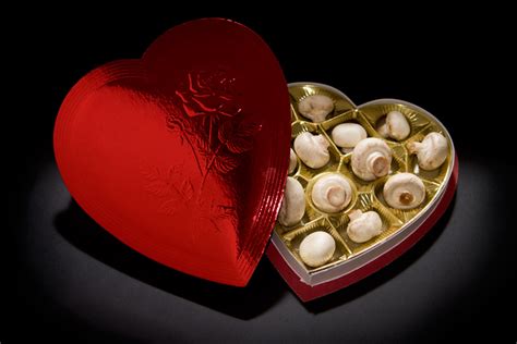 Give Your Sweetheart Mushrooms This Valentines Day Says Stanford