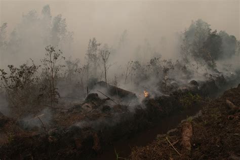 In Pictures Indonesia S Deadly Haze Crisis News Eco Business Asia Pacific