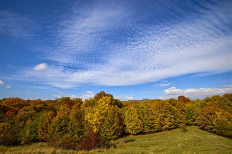 Beautiful Autumn Scenery on a Sunny Day Stock Photo - Image of color ...