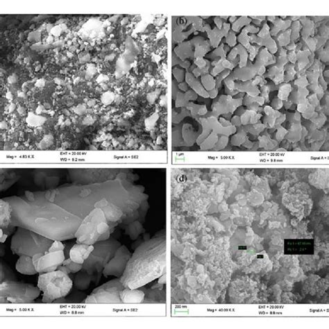 Sem Micrographs For A Eggshell Powder B Calcined Eggshell Powder