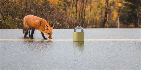The Best Free VPN for Firefox