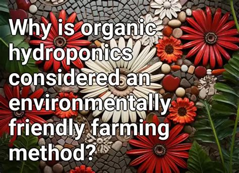 Why Is Organic Hydroponics Considered An Environmentally Friendly