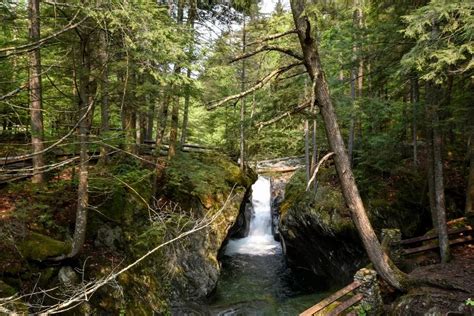 Highlights of the Green Mountain National Forest in Vermont