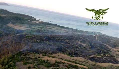 Sardegna In Ginocchio Oggi Incendi Nell Isola Cagliari Vistanet