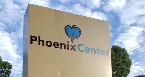 Community Profile: Rebeca Maddox, The Phoenix Center - GREENVILLE JOURNAL