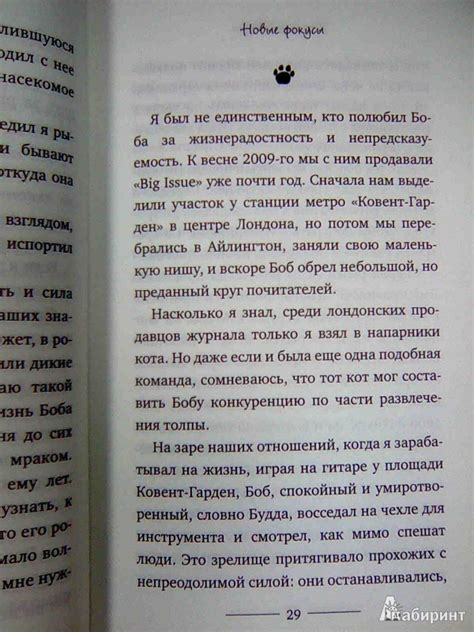 Иллюстрация 10 из 65 для Мир глазами кота Боба. Новые приключения ...