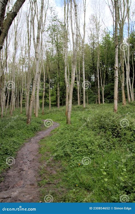 A View Of Hanmer In North Wales Stock Photo Image Of Natural Scenic