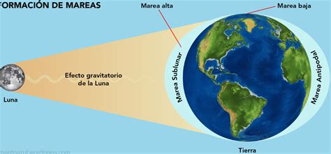 El Fascinante Fenómeno De Las Mareas Qué Son Y Por Qué Se Producen