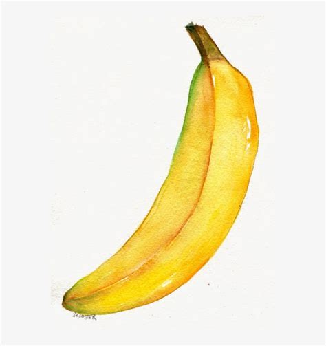 Image Stock Watercolor Painting Banana Illustration Drawing Free