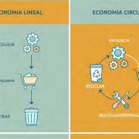 Diferencias Entre Los Modelos De Econom A Lineal Y Econom A Circular