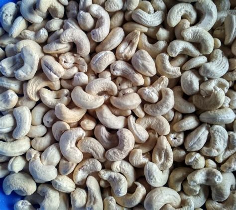 Scorched Whole Cashew Nut SW Loose At 520 Kg In Panruti ID