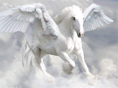 Resultado De Imagem Para Pegasus Tumblr Criaturas Mitológicas Gregas