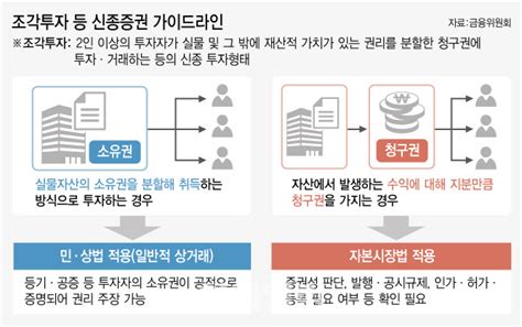 지분만큼 수익 조각투자 금융당국 규제 정조준종합