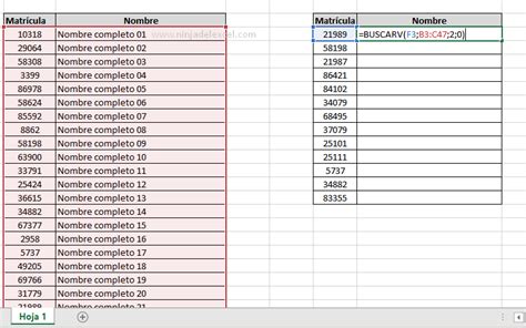 Funci N Buscarv Con Si Error En Excel Ninja Del Excel