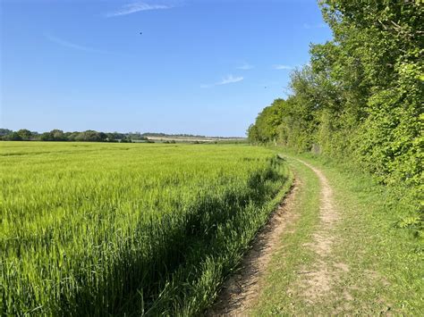 Permissive Path St John S Field Mr Ignavy Geograph Britain And