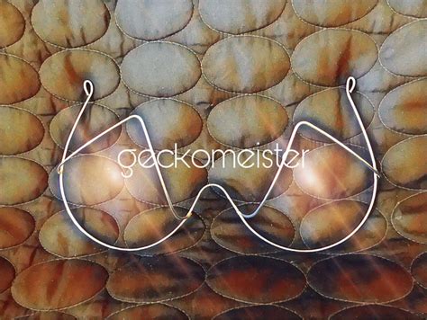Simple Triangle Shape Bra Wire Frame Design Custom Madenew Etsy
