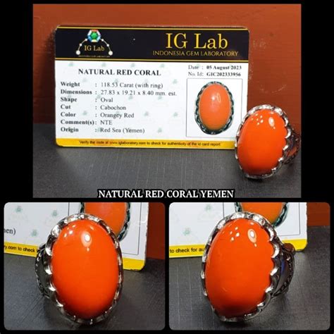 Jual Original Batu Red Marjan Coral Asli From Yemen Shopee