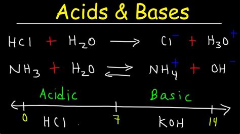 Preparation of Bases in Chemistry: From Lab to Natural Origins. » Pepabank