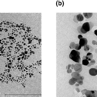 (a) Transmission electron microscope image of gold nanoparticles. The... | Download Scientific ...