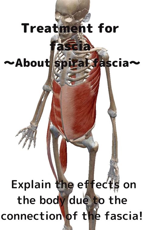 Treatment For Fascia～about Spiral Fascia～ Explain The