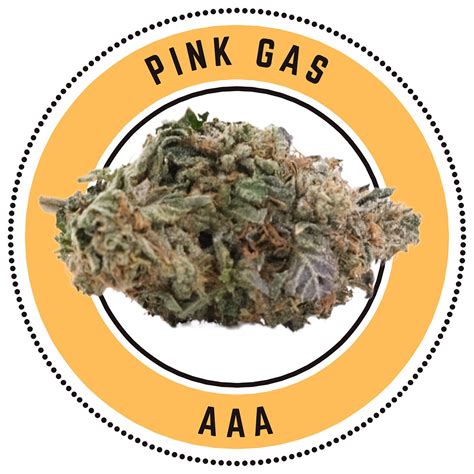 Buy Pink Gas Online In Canada The Green Ace