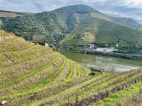 Terraces Soil Conservation And The Douro Region Of Portugal