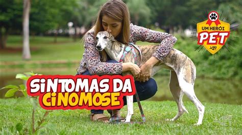 Conhe A Os Sintomas Da Cinomose Youtube