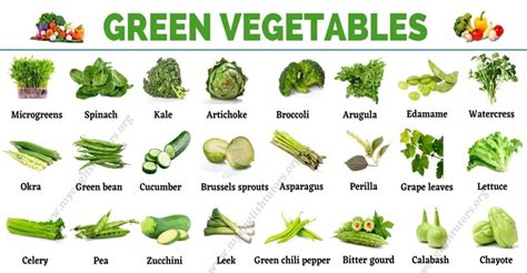 Green Vegetables: List of 31 Types of Vegetables that Have Green Color - My English Tutors