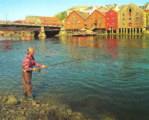 Norway. Salmon fishing in the city. | Norway, Salmon fishing, Nordic ...