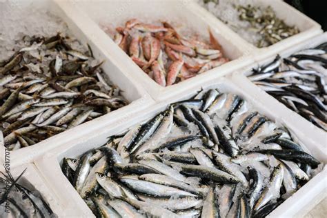 Fish market stall with freshly caught Europian pilchard or Sardina pilchardus and Europian ...