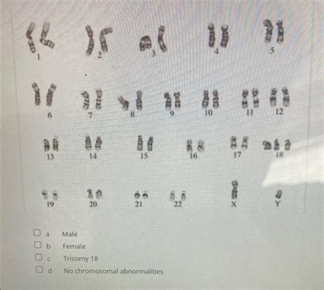 Solved A Male B Female Trisomy D No Chromosomal Chegg